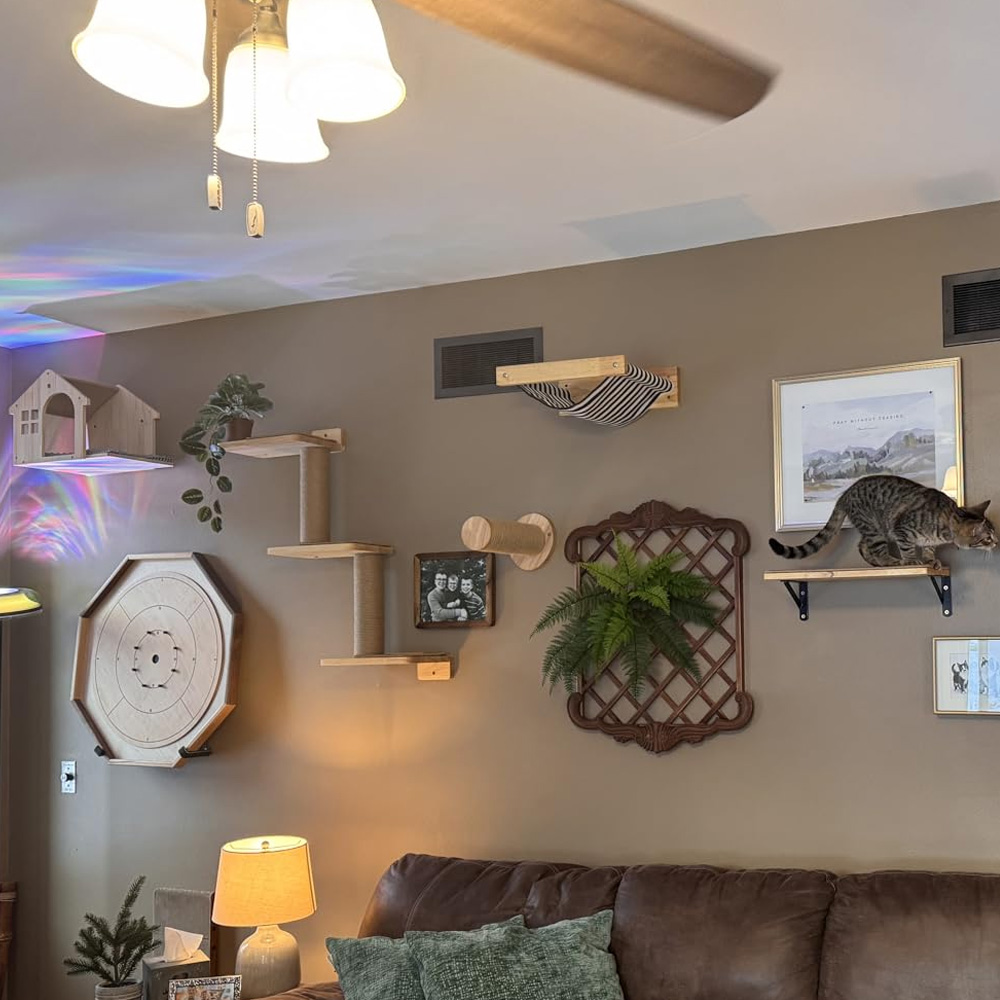 Furniture Paradise & Hardware Ghaziabad - Kedi Mobilyası Masif Ahşap Asma Köprü