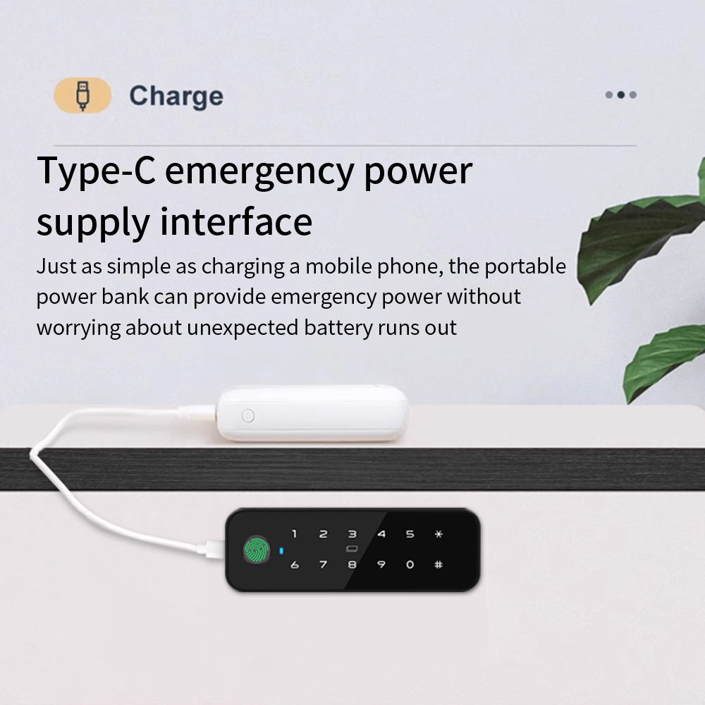 Tuya Bluetooth Akıllı Ahşap Do - Furniture Hardware Wood incelemesi ve fiyatı