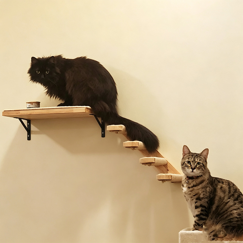 Kedi Mobilyası Masif Ahşap Asm - Furniture Paradise & Hardware Ghaziabad incelemesi ve fiyatı
