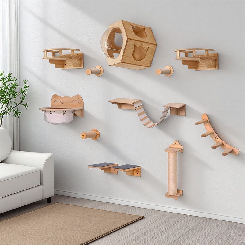 Kedi Mobilyası Masif Ahşap Asm - Furniture Paradise & Hardware Ghaziabad incelemesi ve fiyatı